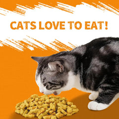 Just Try Pumpkin Cat Treats Salmon Flavor, 13.4 oz | Digestive Support,Low Calorie Snacks,Healthy Training Treats For Indoor cats