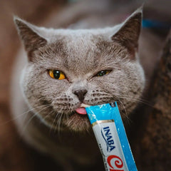 INABA Churu Cat Treats, Lickable, Squeezable Creamy Purée Cat Treat with Green Tea Extract & Taurine, 0.5 Ounces Each Tube, 50 Tubes, Tuna & Seafood Variety