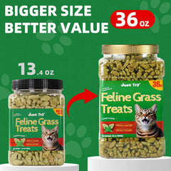 Just Try 36 OZ Cat Grass Treats for Indoor Cats Hairball Control | Catnip for Cats,Dental Care,Natural Salmon,Healthy Cat Grass Treats,Kitten Snacks,Training Biscuits