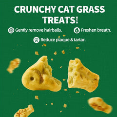 Just Try 36 OZ Cat Grass Treats with Salmon Oil | omega 3 supplements for cats,salmon flavor,joint support,skin coat health,crunchy training treats