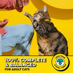 Temptations Wacky Blasts Cat Treats, Nautical 'Nip Flavor, 6.3 oz, 10 Pack | Salmon, shrimp & catnip flavor bits, crunchy outside/soft inside, under 2 cal per treat, 100% complete nutrition, resealable